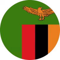 Zambia Flag