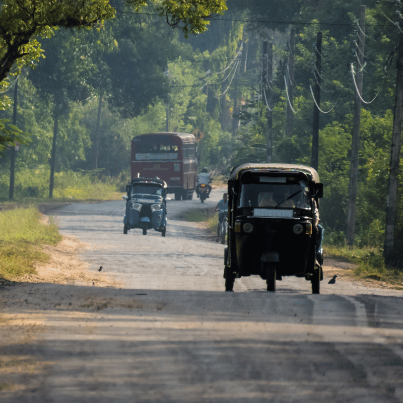 A road in Sri Lanka with cars driving through a forest