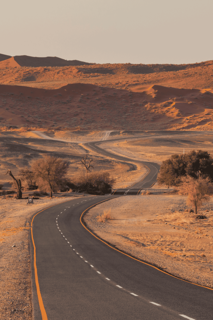 A landscape of Namibia with a desert surrounding the road