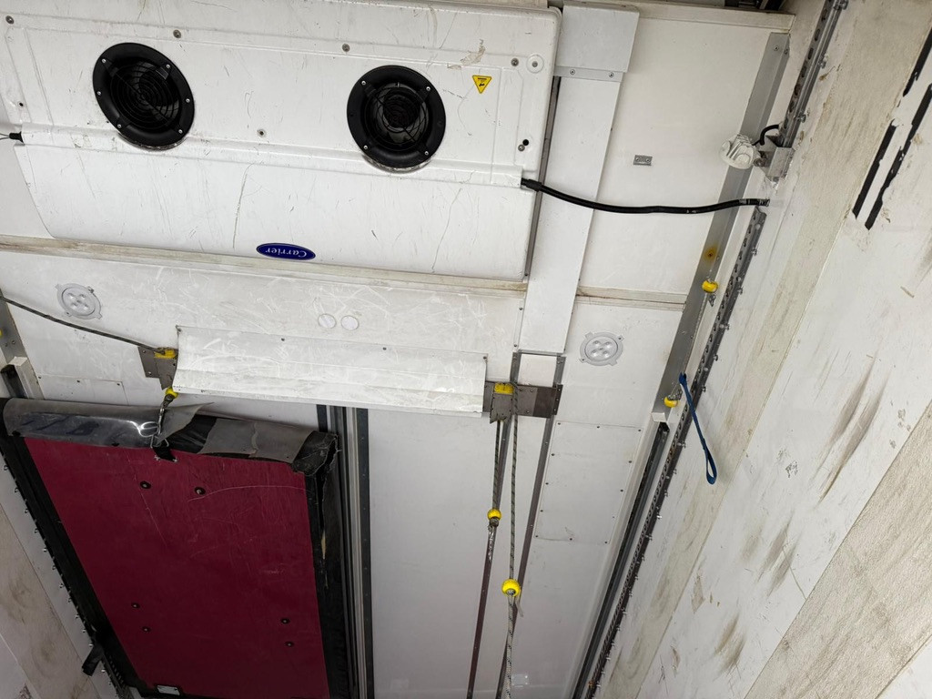 AE7E5A62 332B 4412 B719 092B5CB63D4B 1 105 C